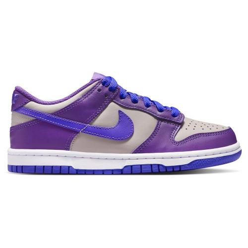 Nike Dunk Low (GS)